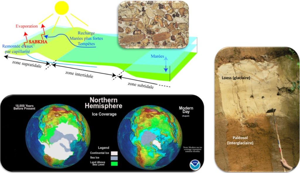 Exemple d’environnements sédimentaires étudiés (avec analyse pétrographique du microfaciès). Exemple de formations sédimentaires quaternaires et de problématiques abordées (ex : dynamique des versants au cours d’un cycle climatique quaternaire)
